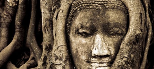 Buddha Head in Tree Ayutthaya, Thailand
