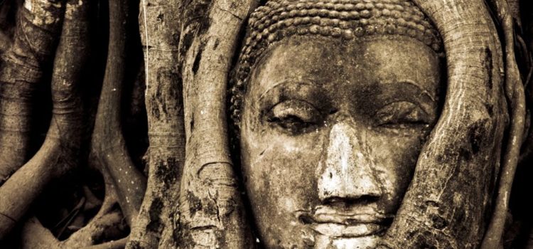 Buddha Head in Tree Ayutthaya, Thailand