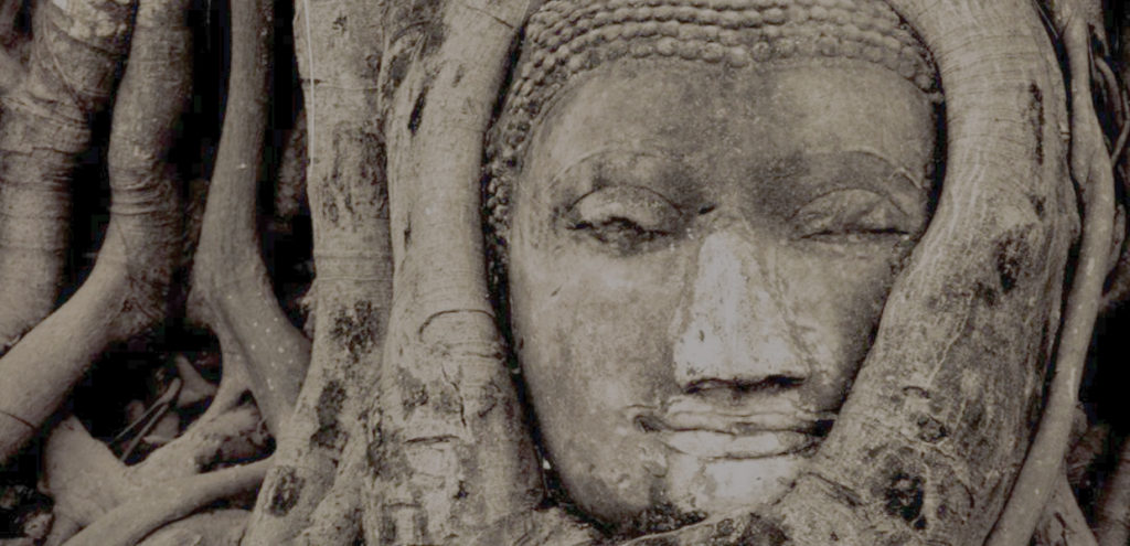 Buddha Head Tree Thailand